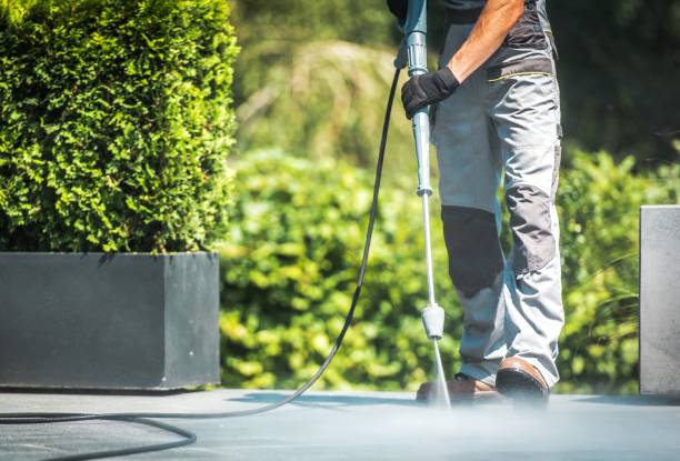 Best Patio and Deck Pressure Washing  in Sidney, IL